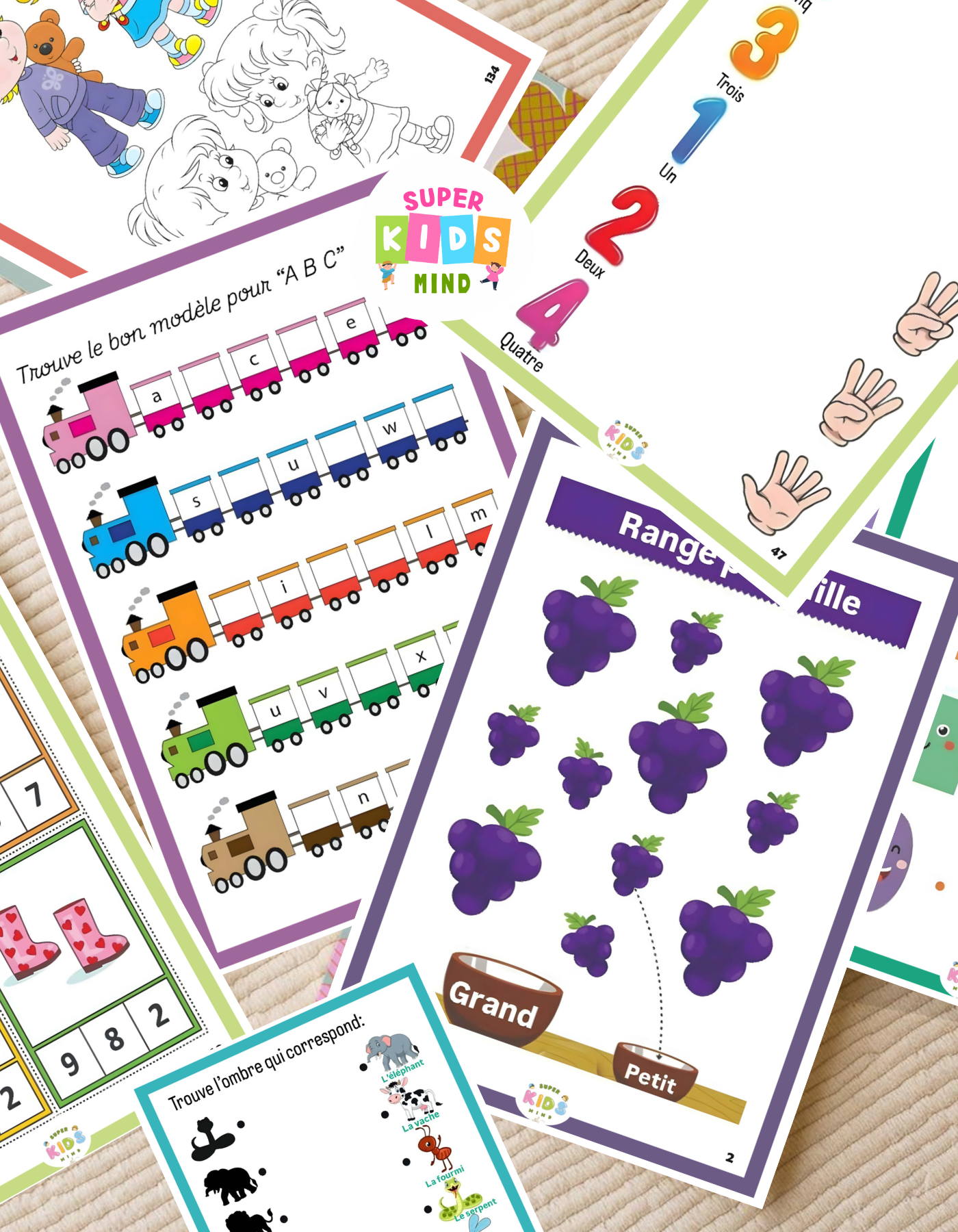 Petit Génie – Livre des Activités